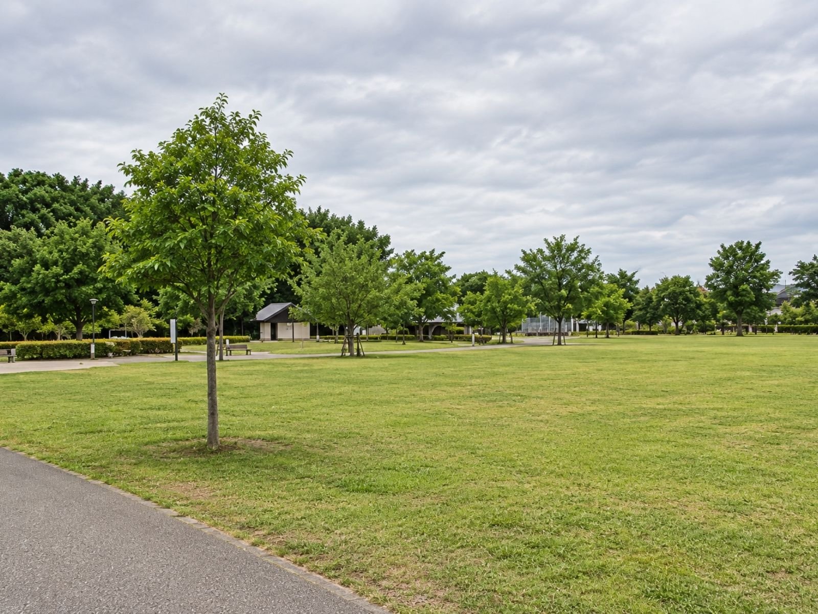 中原ふれあい防災公園